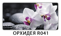 Обеденный стол Паук с фотопечатью узор